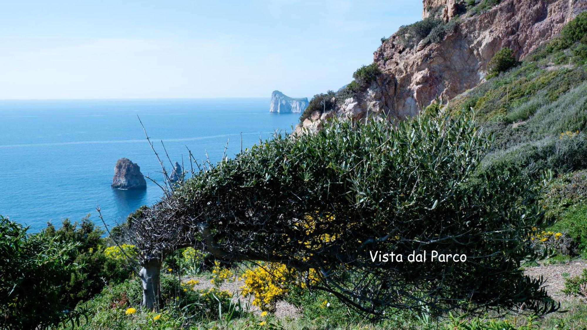 La Casa Del Mare Tanca Piras Villa Nebida Bagian luar foto